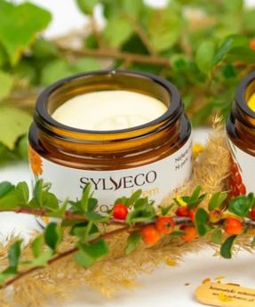 Beruhigende und regenerierende Creme für empfindliche Birken- und Nudehaut mit Sylveco Beulina