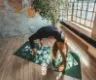 Yoga Mat Veganika Night with Natural Rubber Moonholi