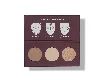 Contour and Face Sculpting Palette Contour Palette Affect Professional Cosmetics