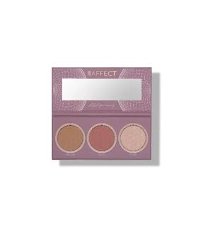 Affect Professional Cosmetics Sweet Harmony Contour Palette 2